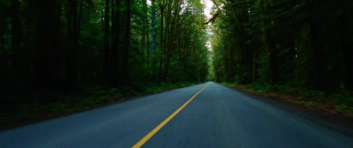 A motorcyclist rides on a paved forest road in the daytime