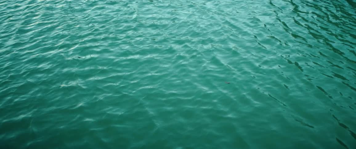 Ocean water is displayed in spring