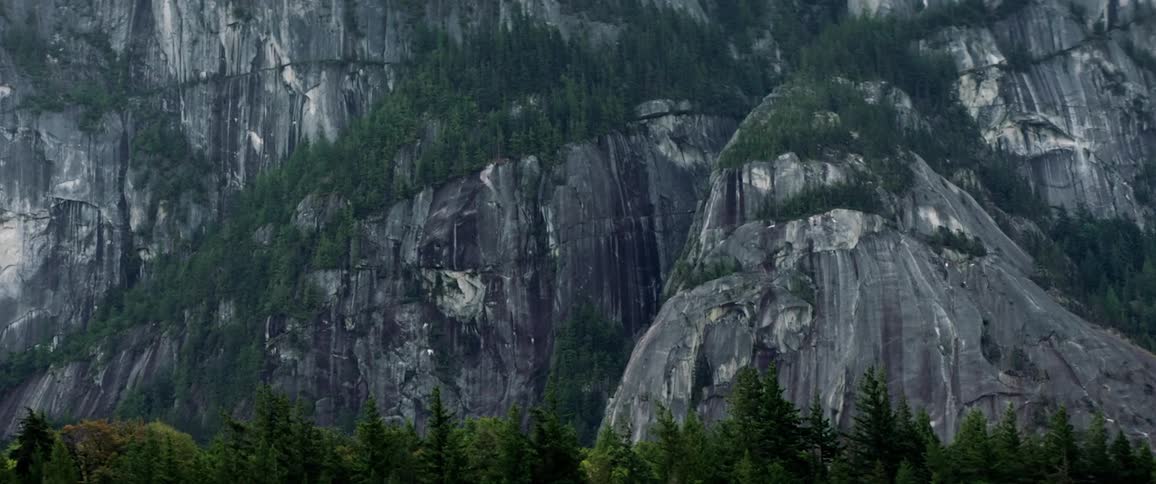 A stone mountain ridge above an evergreen forest during the day