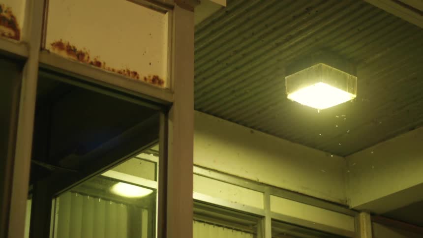 Insects fly around a light fixture on an overhang on the outside of a building at night