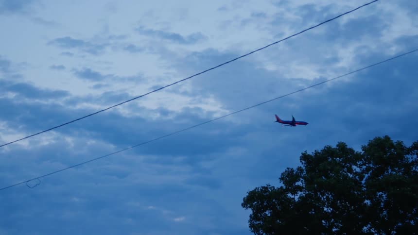 An airplane flying with a tree in the foreground and the sky and clouds in the background