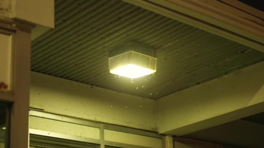 Bugs swarming around an illuminated light fixture on a building porch