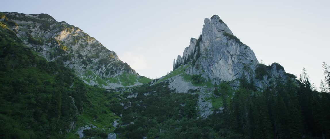 Pine trees on a rocky mountain range on a summer day