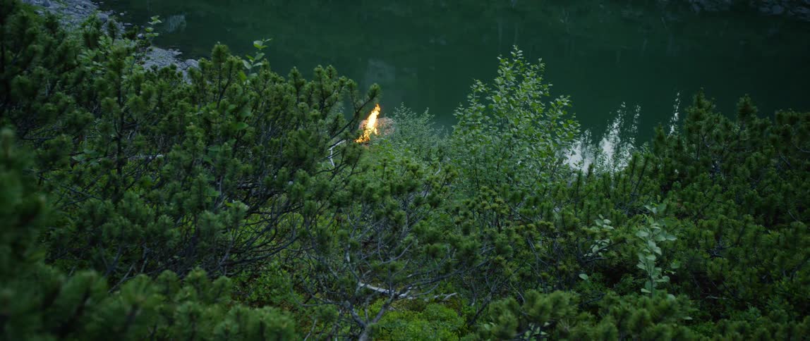 A campfire burns along a river bank and near a forest