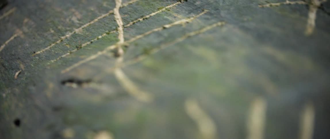Lines scratched onto wood