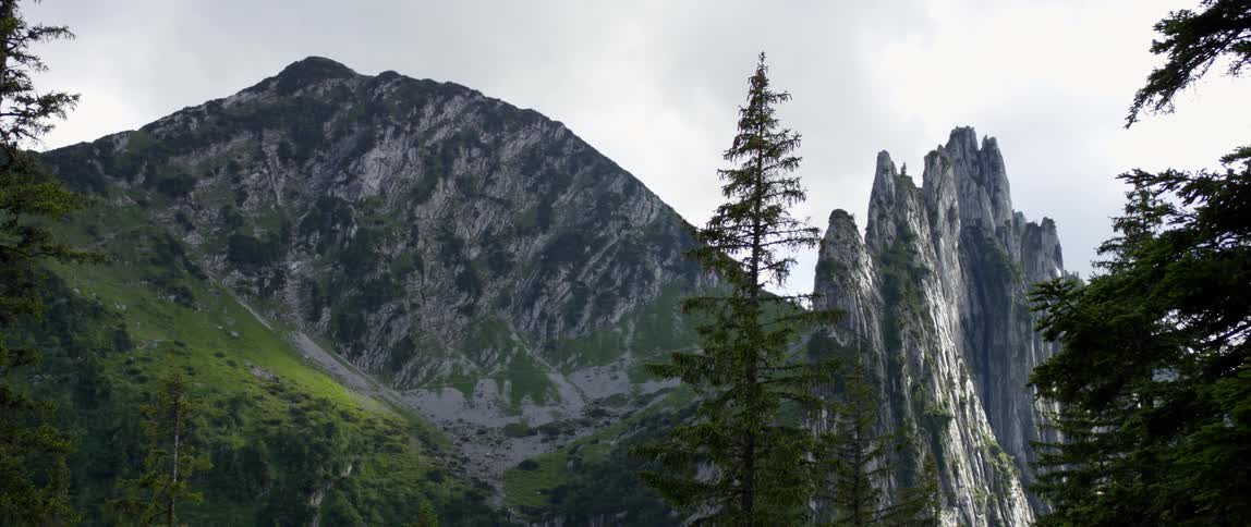 Mountains tower over conifer trees under cloudy sky