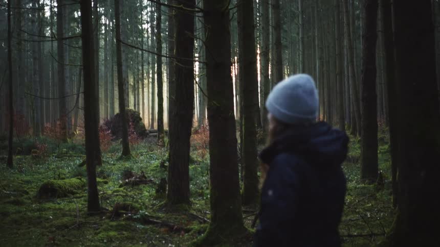 Young woman walks through forest in early morning