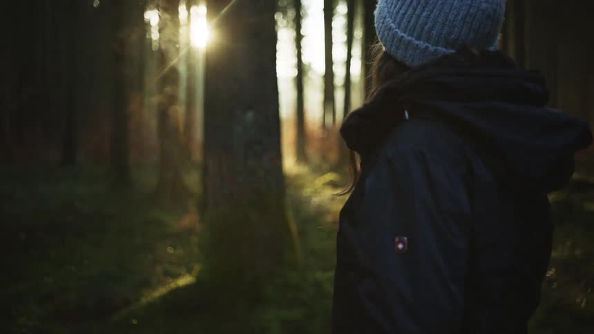 A woman dressed for cold weather gazes at a tree engulfed in sunlight in a woodland