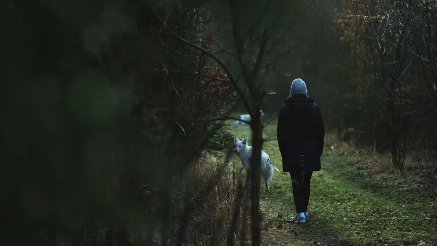 A woman walks a dog through a grass pathway in a woodland