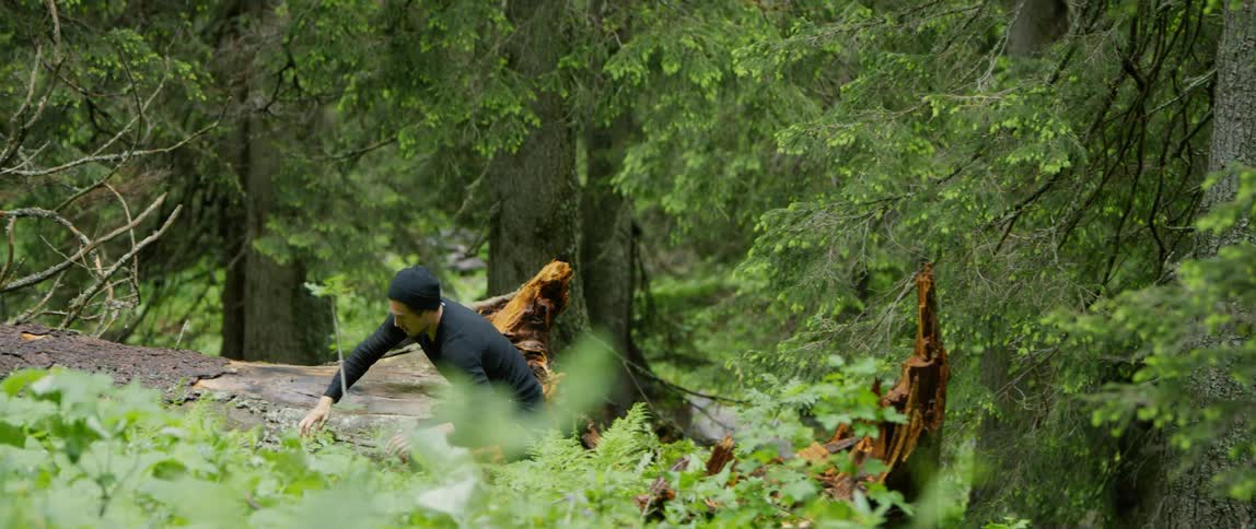 Man runs up slope in forest past large fallen tree and stump