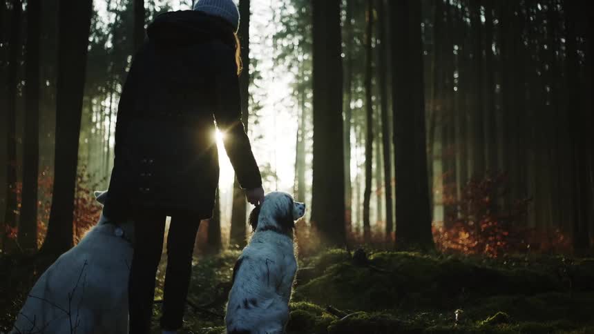 A woman is walking her dogs outdoors at dusk