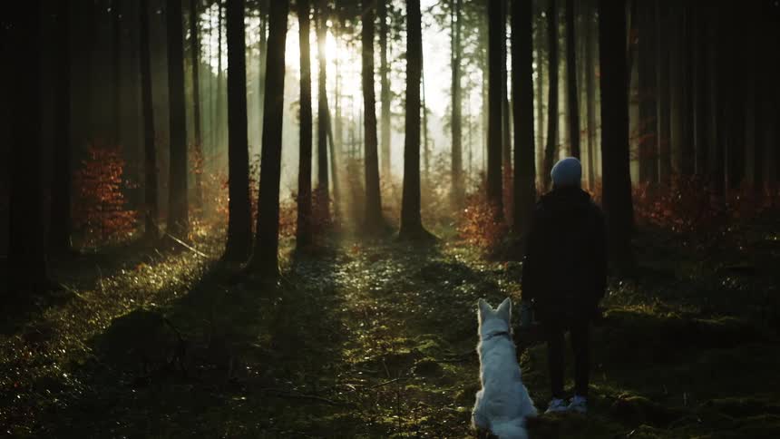 A woman is standing in a forest with her dog at dusk