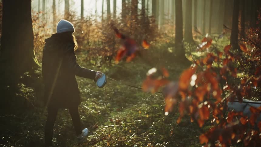A woman is walking her dog through a wooded area at dusk