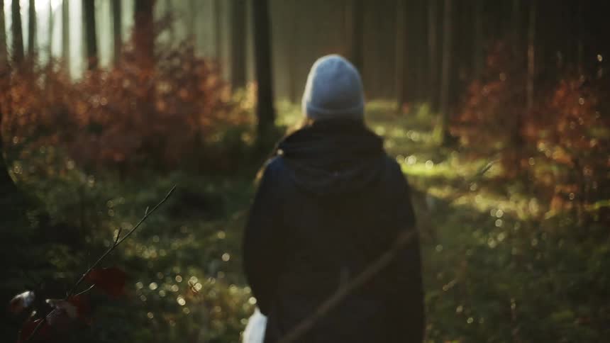 A person is hiking in the forest