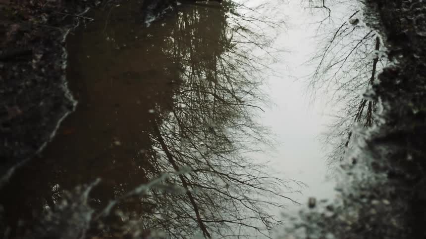 Water puddle surrounded by mud reflects leafless trees and pale overcast sky