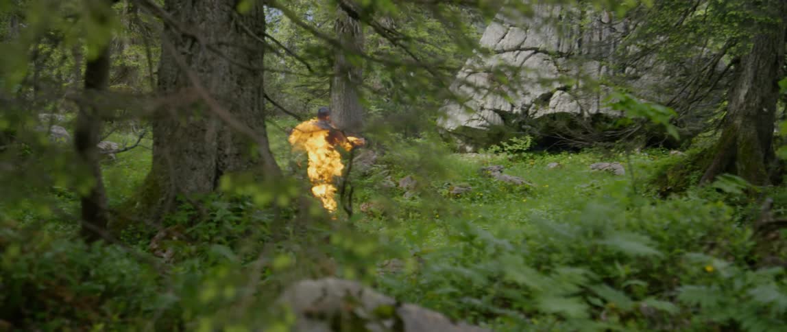A person engulfed in flames runs through woodland