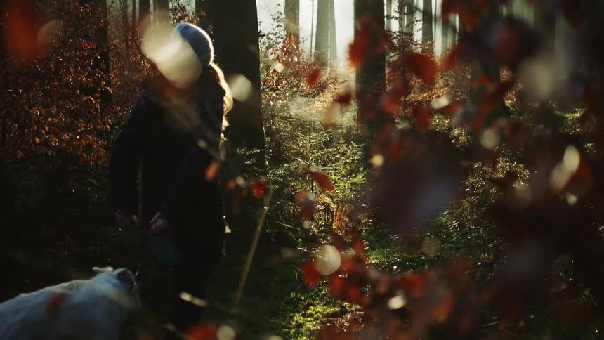 A woman leads a dog through a woodland during the day