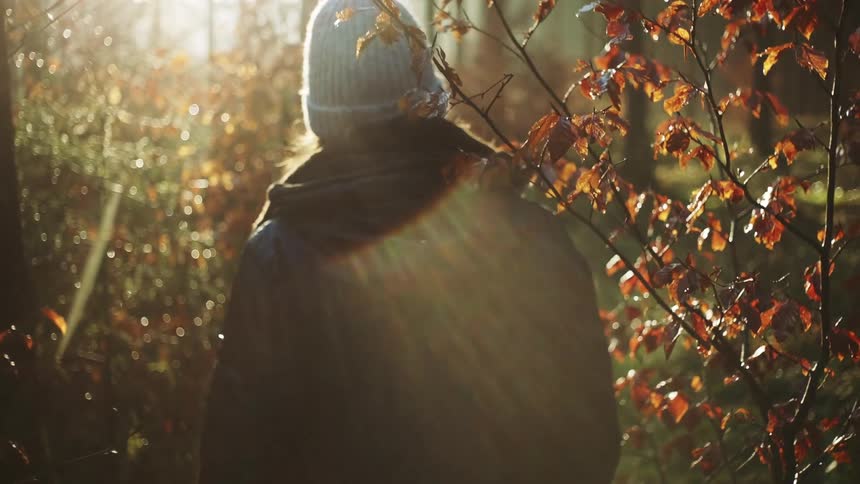 A woman in cold weather clothing walks through a woodland during the day