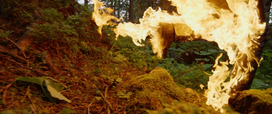 Man on fire in protective suit runs through forest