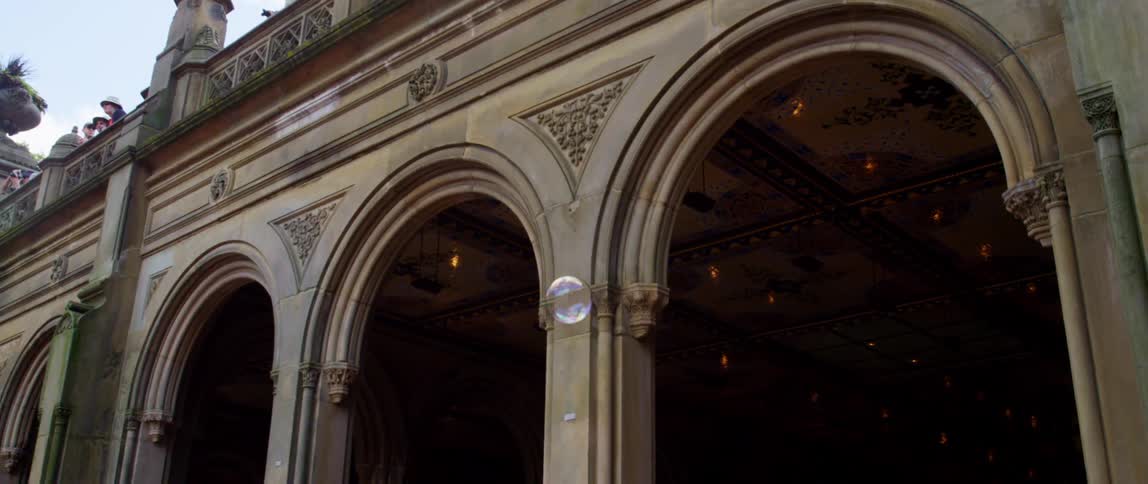 Tree top shows over top of ornate building with large arches showing interior decorated ceiling
