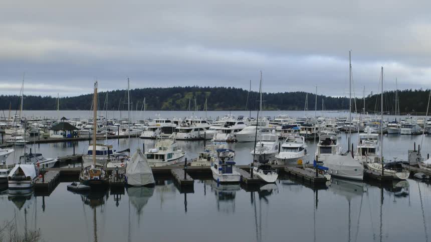 Many small boats tied up at docks on a body of water