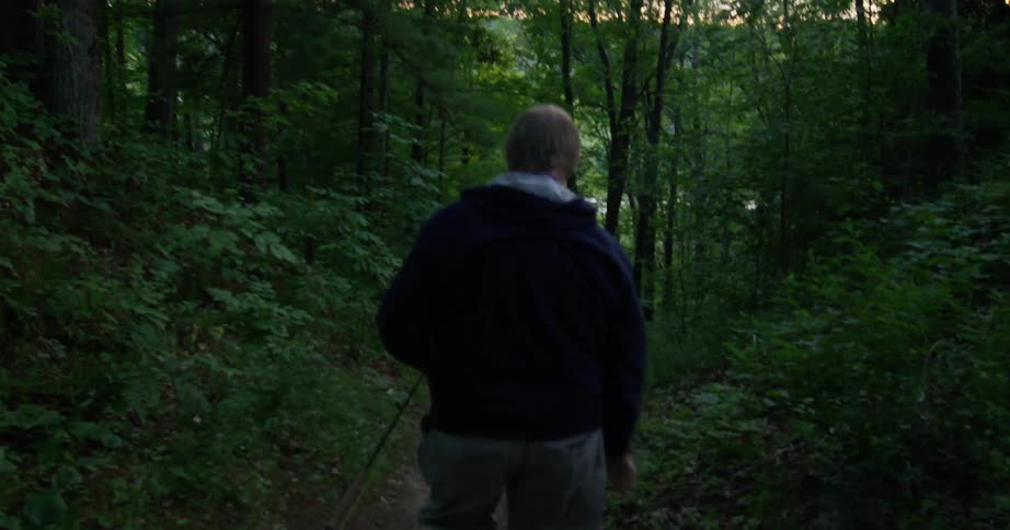 A man is hiking outdoors in the woods