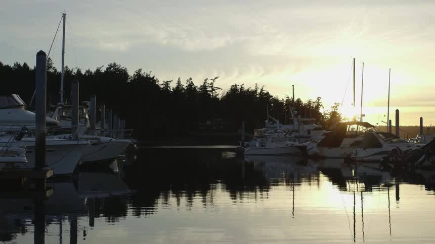 Boats are docked in a pear at sunset