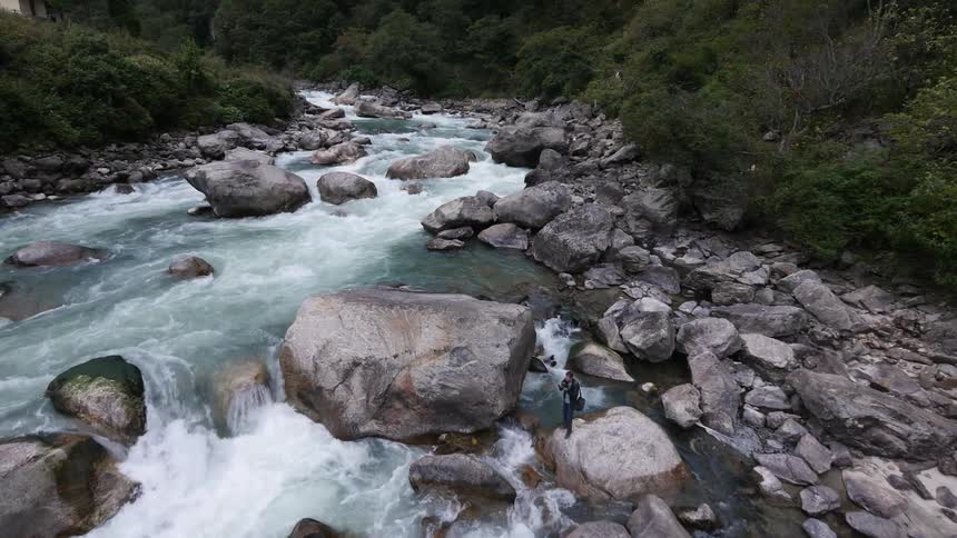 Rushing river in the middle of a dense forest