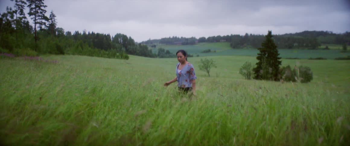 A woman walks through the tall grasses of a grassland on a cloudy day