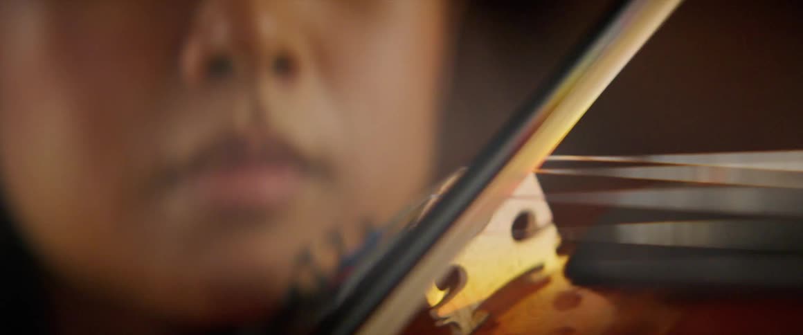 Woman plays string musical instrument with quick bow work