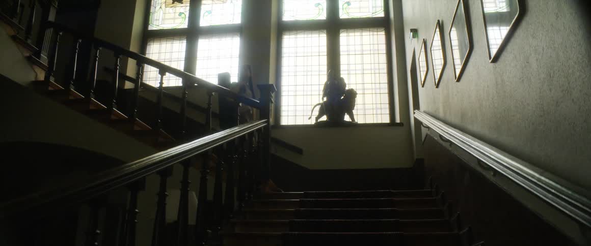 A young musician walks down a staircase carrying her instrument