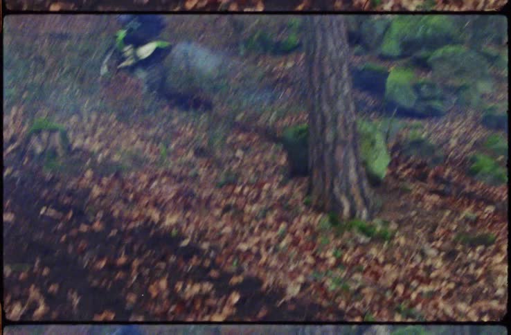 Group of people wearing crash helmets ride mountain bikes uphill on a forest
