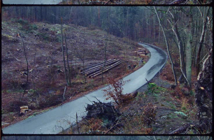 Film footage of a flooded street in a forest area