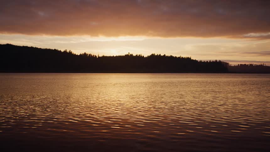 Landscape view of a lake with a forest in the background