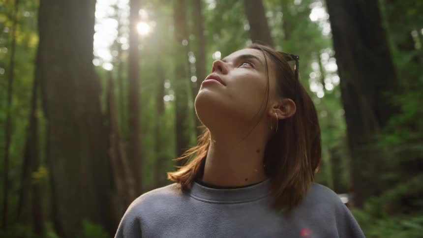 Young girl looks up to the canopy of the tall trees in the forest at sunset
