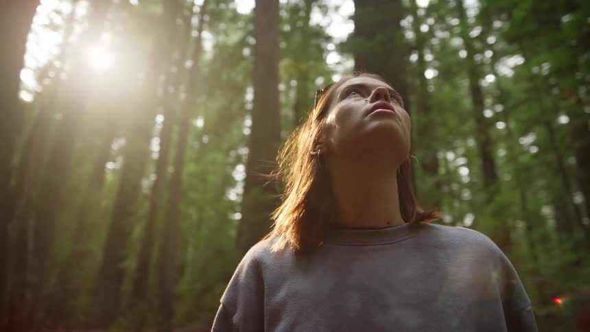 Woman with brown hair and glasses looks up at tall trees in the woods