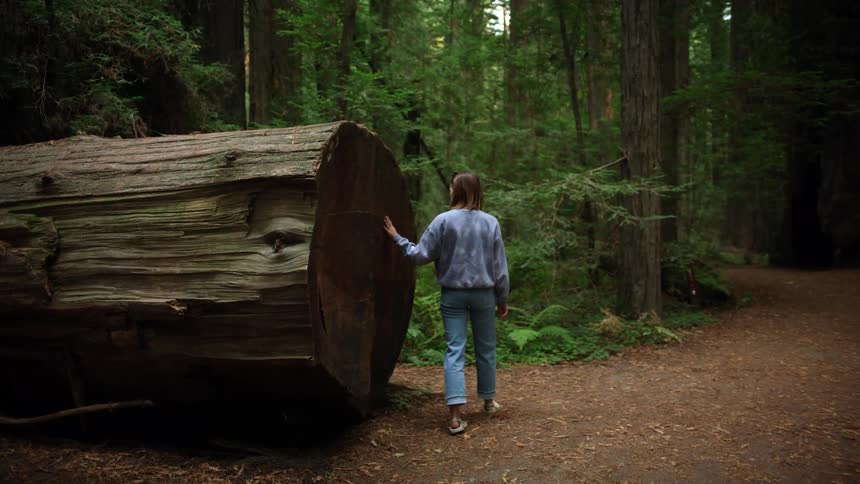 A woman is walking in a forest during the day