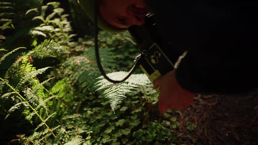 A man takes film footage of a plant