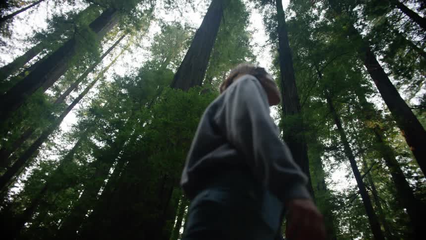 A white woman with short brown hair wearing a gray sweatshirt and blue jeans is walking through a tall tree filled forest