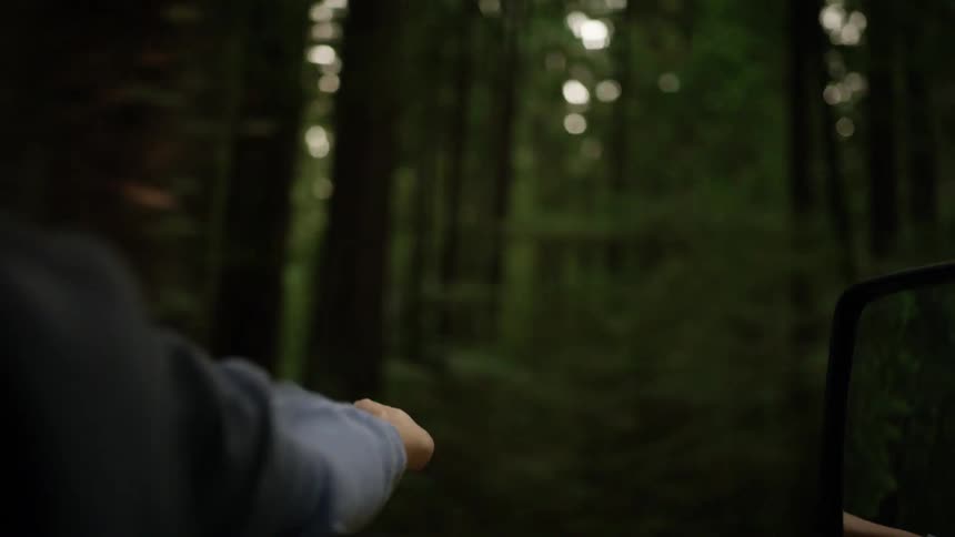A woman hangs her arm out the window as she drives past a forest