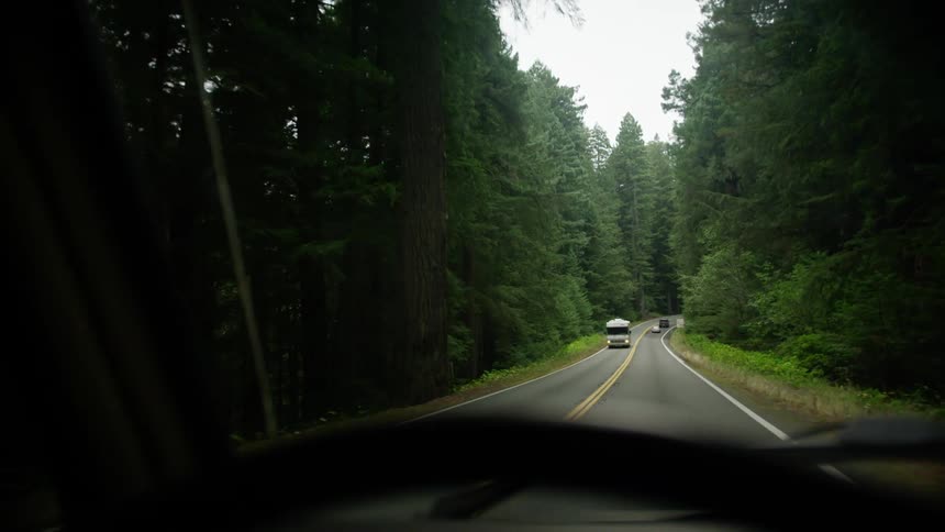 Land vehicle drives on a highway through the forest