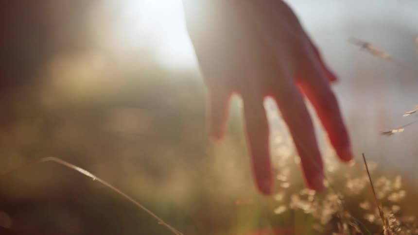 A woman walks along the shore while running her hand through plants in a grassland