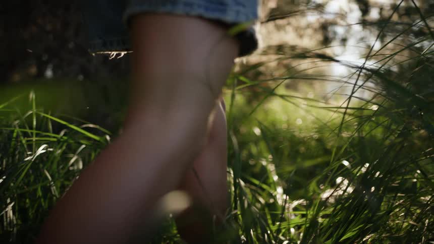A person is walking through the tall grass