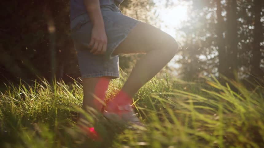 Person walks through meadow past conifer trees carrying book