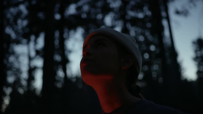A woman is standing in a forest at dusk