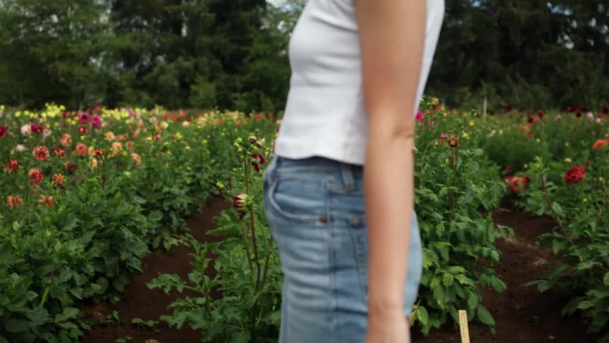 Woman with a green beanie glasses and ripped jeans walks in a field of flowers