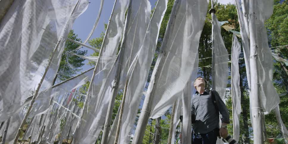 A photographer walking through bamboo poles that have gauzy material attached to them