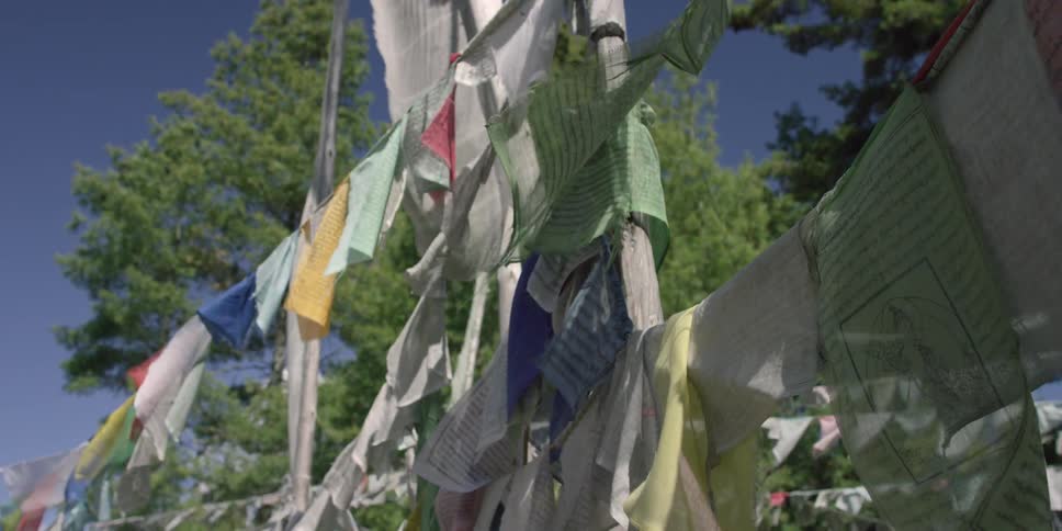 Many colored pieces of material on sticks waving in the breeze