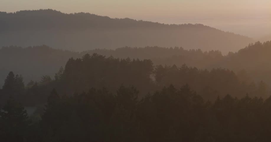 A forest with trees and hills with the sky and clouds in the background