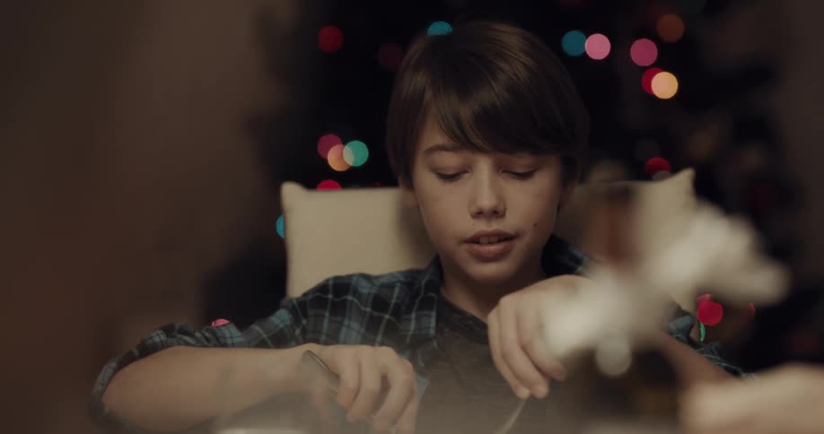 Boy accepts food then shakes his head and smiles sitting at table near christmas tree